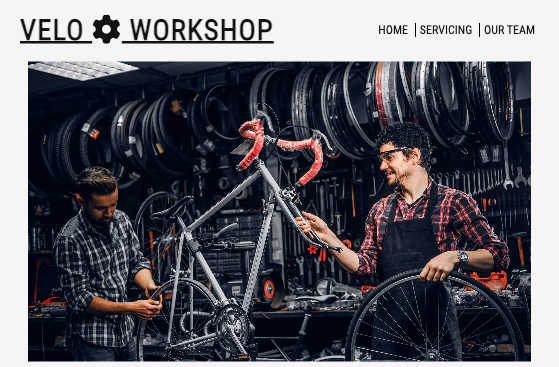 Title image for velo mechanic website