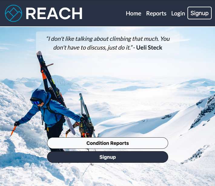 Title image for Reach Reports.